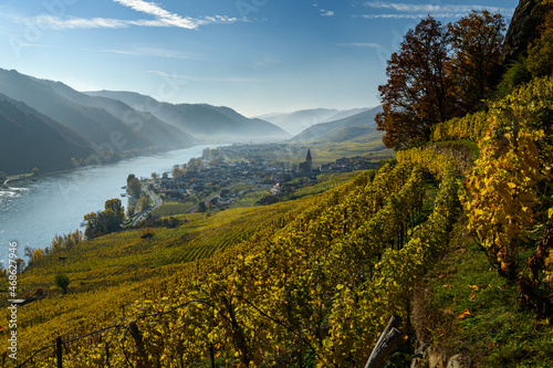 Weissenkirchen Wachau Austria in autumn colored leaves and vineyard
