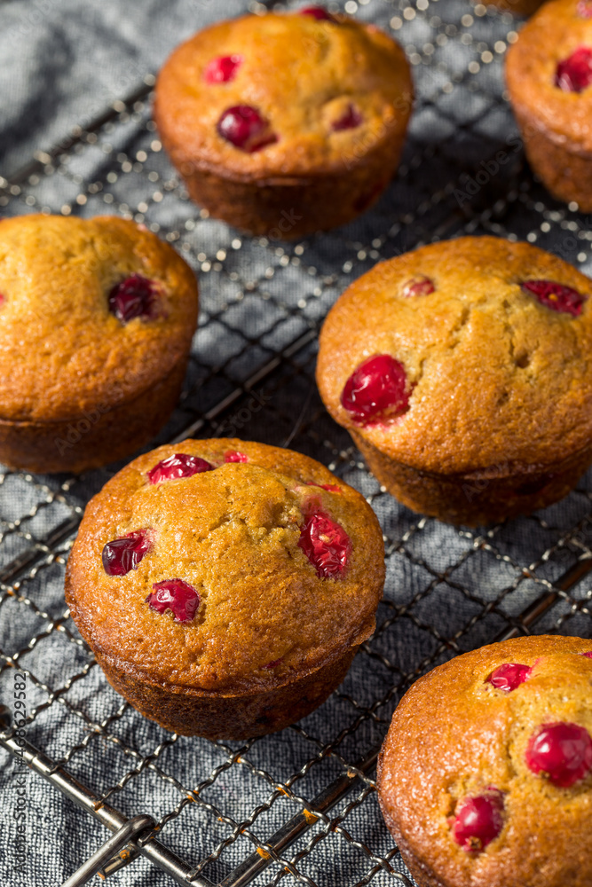 Homemade Breakfast Cranberry Muffins Homemade Breakfast Cranberry Muffins
