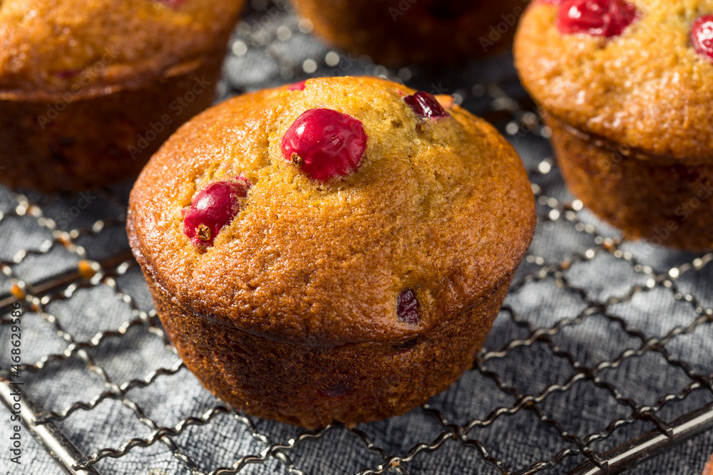 Homemade Breakfast Cranberry Muffins Homemade Breakfast Cranberry Muffins