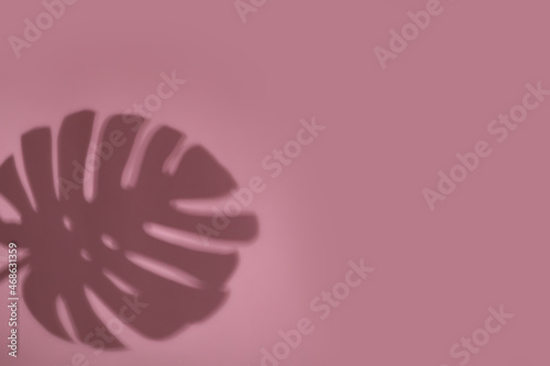 Shadow of monstera leaf on pink background, space for text