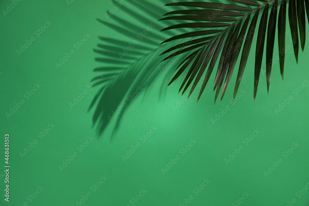 Shadow cast by tropical palm leaf on green background, space for text