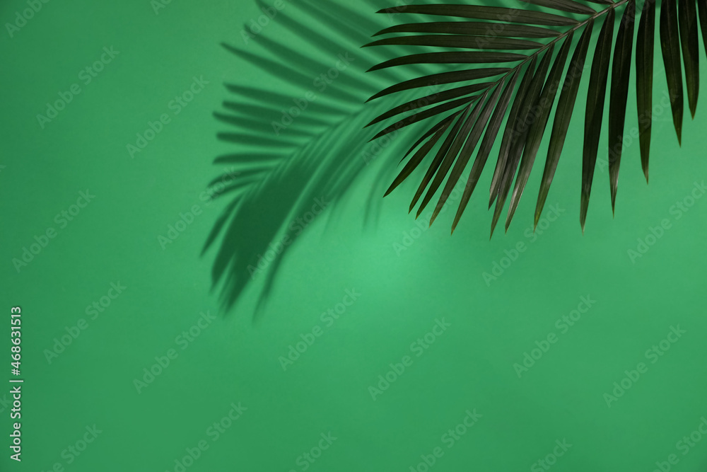 Shadow cast by tropical palm leaf on green background, space for text Shadow cast by tropical palm leaf on green background, space for text