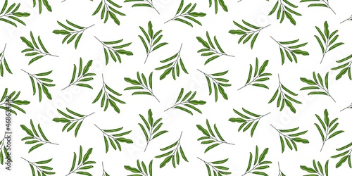 Green jungle leaves seamless pattern. Tropical wallpaper  organic branch seamless.