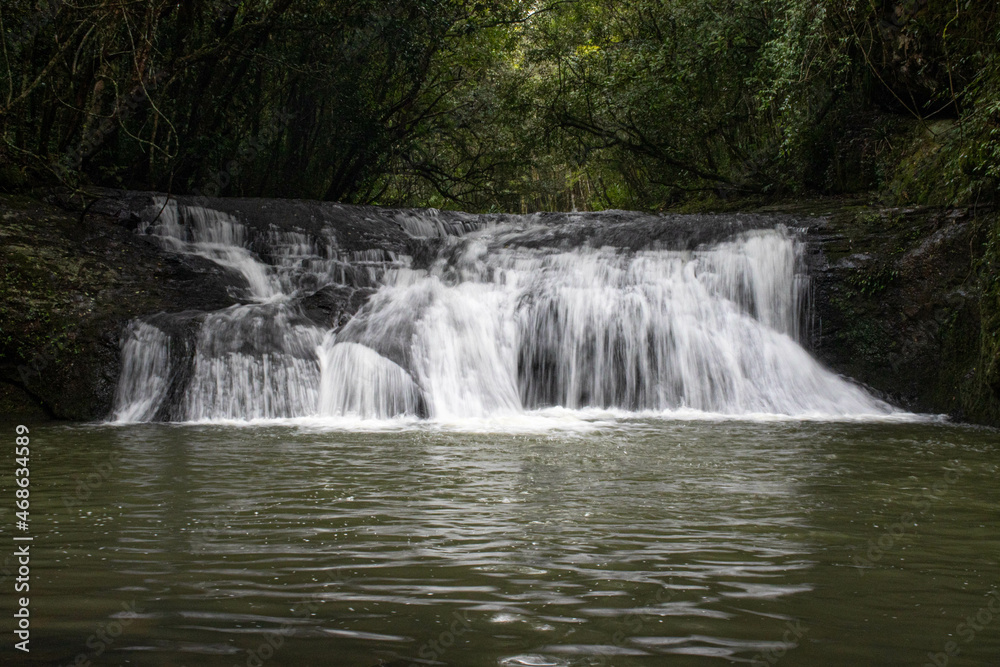 Obraz premium waterfall in the forest