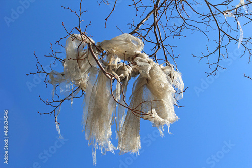 White plastic bag caught in branches of leafless tree against sky
