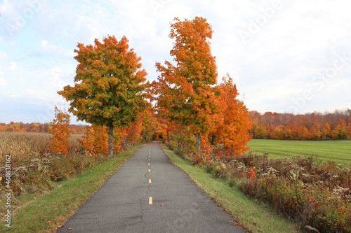 Cycle path in autumn. Autumn landscape and hiking. Autumnal. Trees and leaves in autumn. Bike and trail. Rural road in september and october.