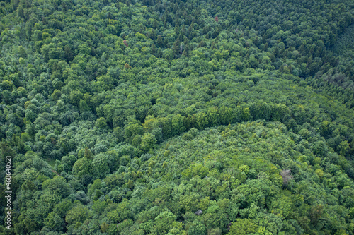 Aerial view on forest