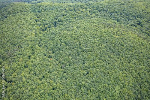 Aerial view on forest