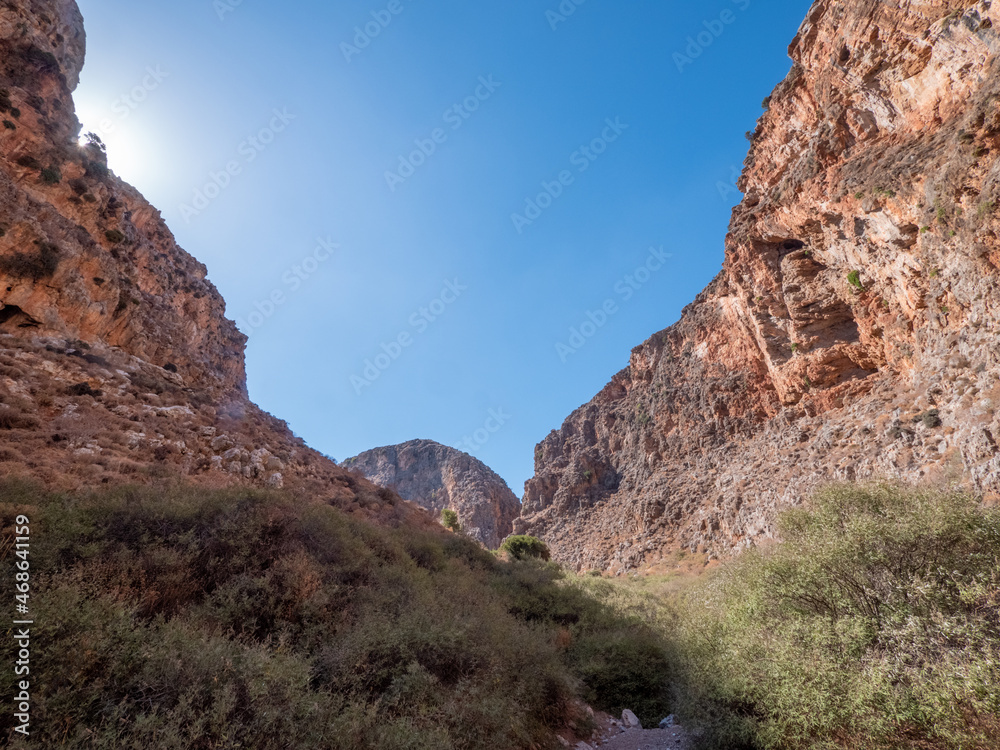 Wadi, Dry Gorge with some plants and trees
