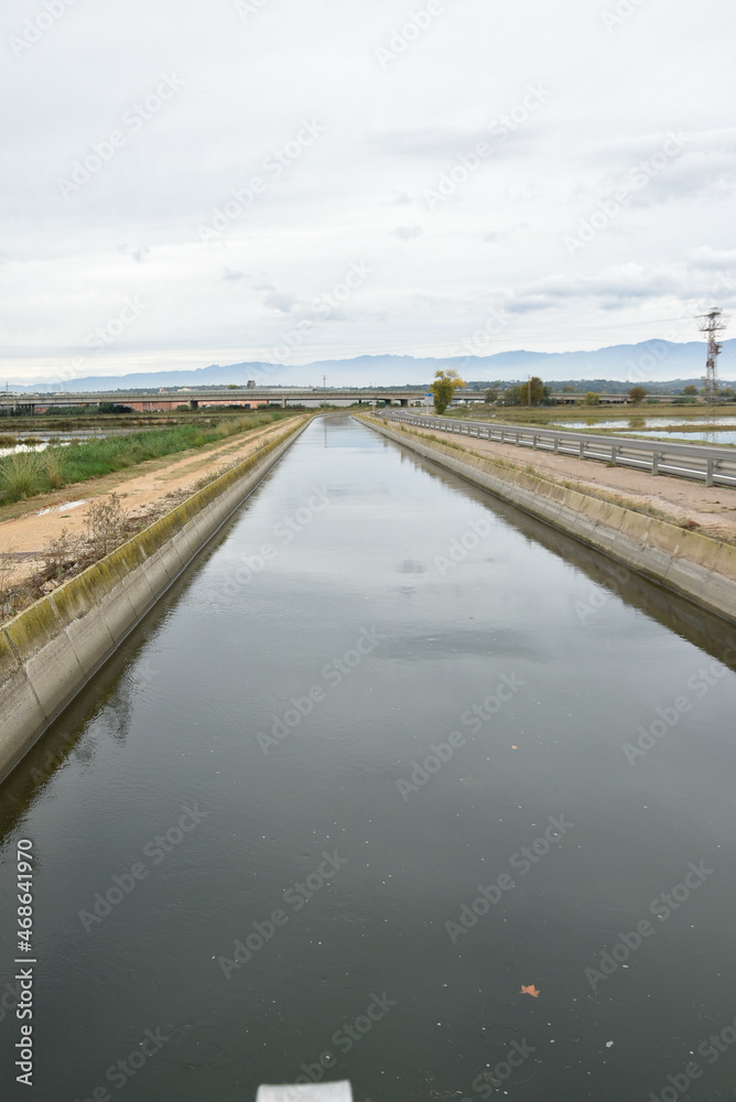 Canal de riego para los agricultores 
en el parque natural del delta del Ebro (Cataluña, España).