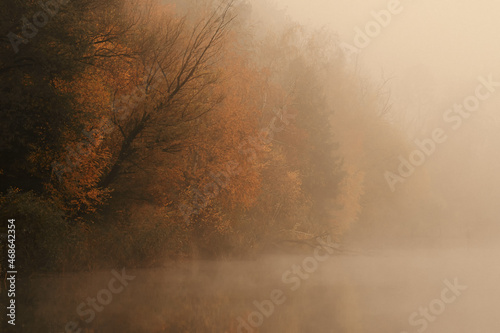 Herbst und Nebel