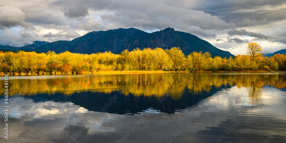 Obraz premium Fall scene in Snoqualmie Washington with yellow trees reflecting in calm water against a dark and contrasting Mt Si