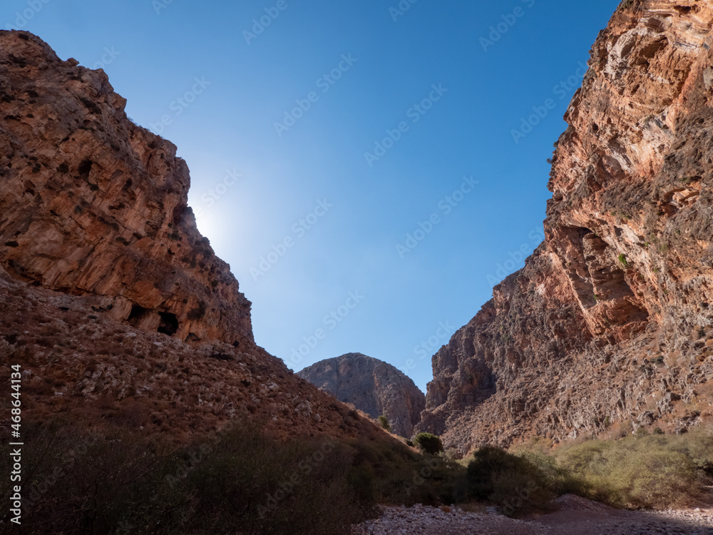 Wadi, Dry Gorge with some plants and trees