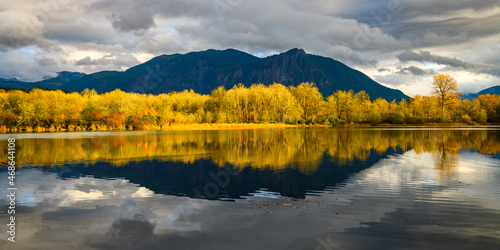 Fototapeta Naklejka Na Ścianę i Meble -  Fall scene in Snoqualmie Washington with yellow trees reflecting in calm water against a dark and contrasting Mt Si