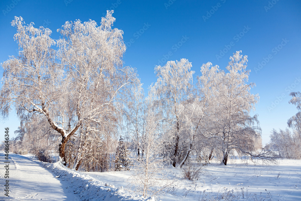 Beautiful winter landscape with snow covered trees. Frosty trees. Christmas holidays. Beautiful winter landscape with snow covered trees. Frosty trees. Christmas holidays.