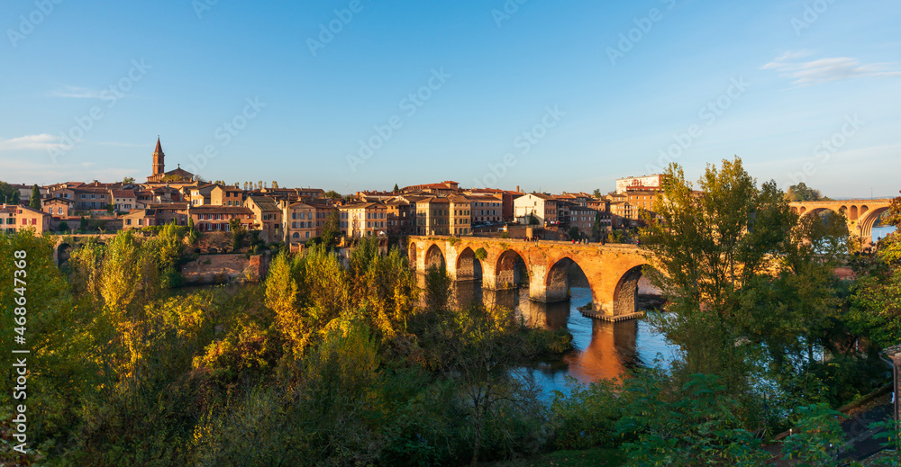 Panorama of Albi and the old bridge in autumn, in the Tarn, in Occitanie, France