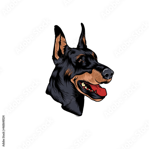 Doberman head vector design illustration Sticker .