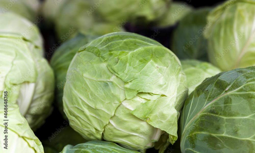Fototapeta premium Close up view of fresh white,green cabbage in the market