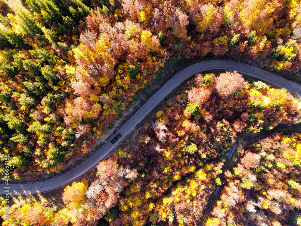 Car driving on a mountain road somewhere in French Alps, surrounded by trees with multicolored autumn leaves, drone view.