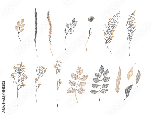 Set of abstract branches with flowers and leaves, herbs and leaves. Modern trendy line illustrations in dark gray and golden colors. Pretty floral vector decorations isolated on white background.