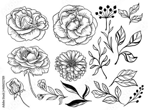 Isolated Rose and Daisy Flower Line Art with Leaves