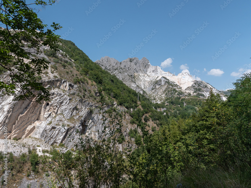 View of a Mountainside in Carrara in Summer Time with Rocks Covered by Vegetation and Trees