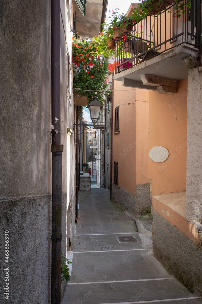 Narrow Street with Ancient Walls, antique Lamp Post and Flowered Terraces in the Village of  Colonnata, Carrara- Italy