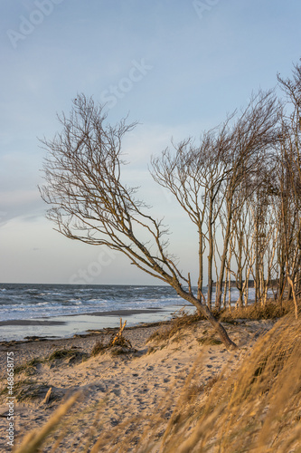 Prerow Weststrand
