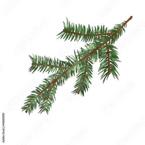 Watercolor spruce branch. A branch of a Christmas tree. Watercolor illustration on a white background
