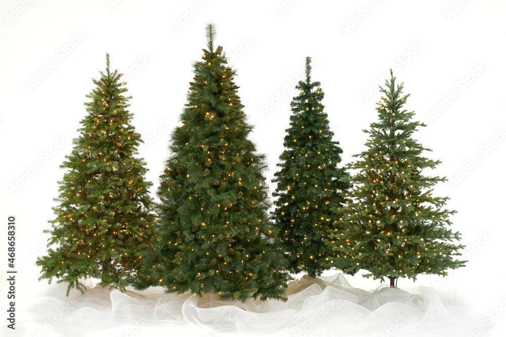 Four Christmas trees on white bkg with clear lights B
