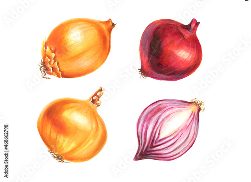 red onion isolated on white