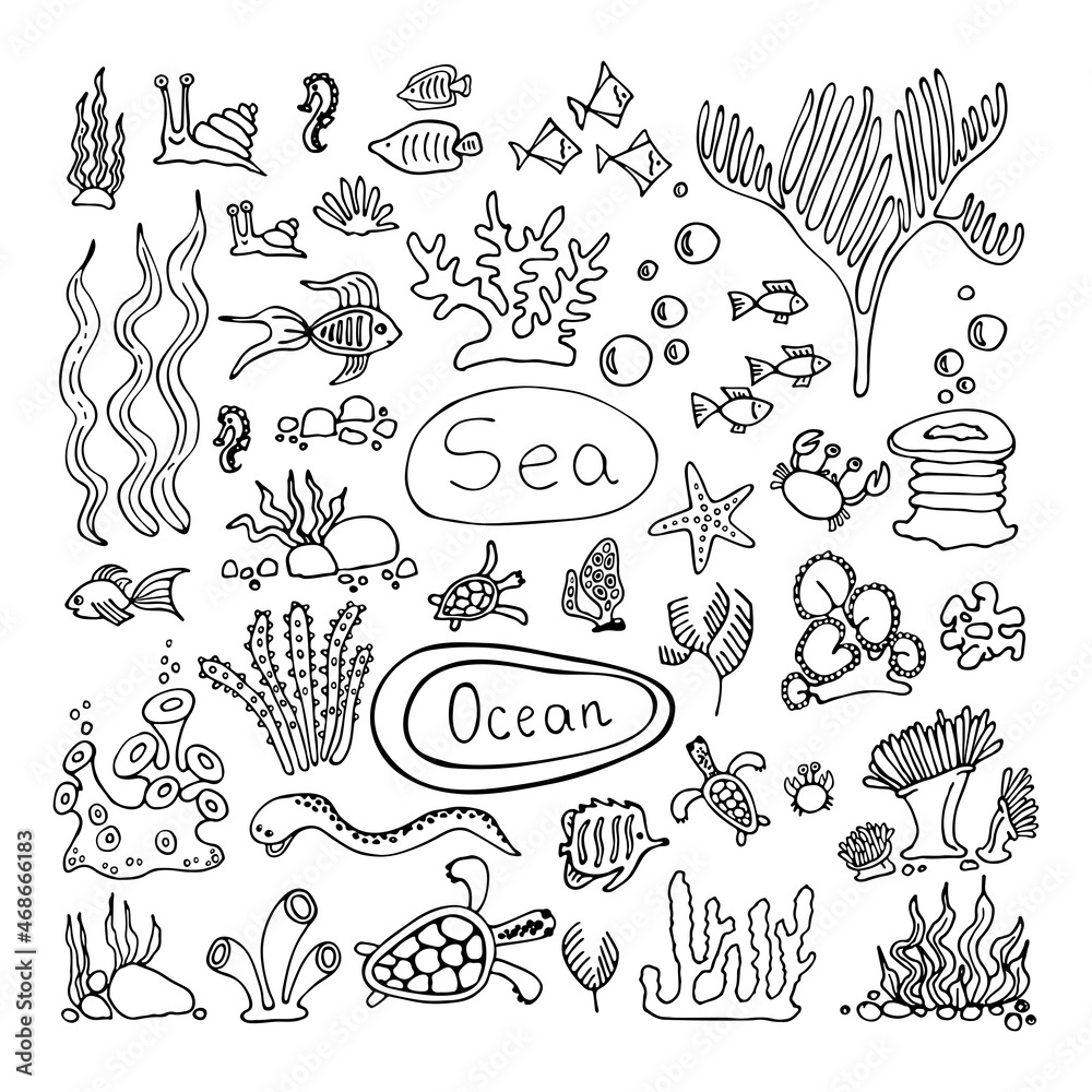 Coral reef marine set. Fish, turtles, crabs, snails, stars, underwater plants, algae, stones. Hand drawn line art vector illustration. Isolated element.