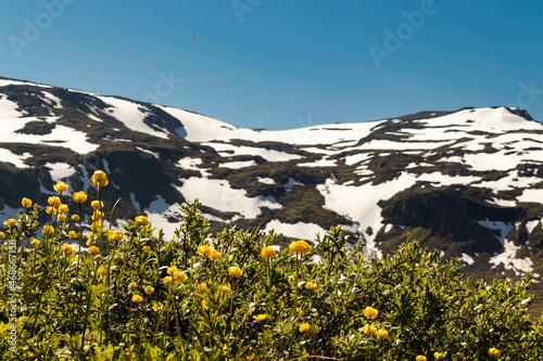 Abisko National Park