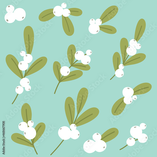 Collection of mistletoe branches and berries for printing, design, decoration. Vector isolates.