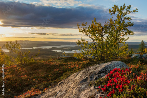 Foto Autumn vibes in the Arctic Circle