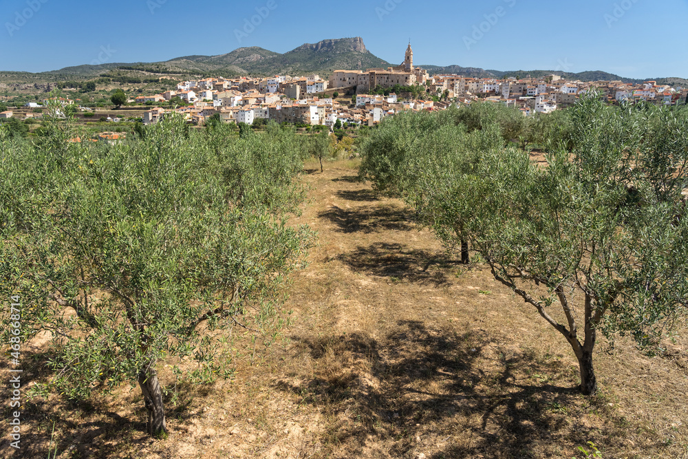 Panoramic view of chelva with olive trees in the foreground in a sunny day, Valencia, Spain