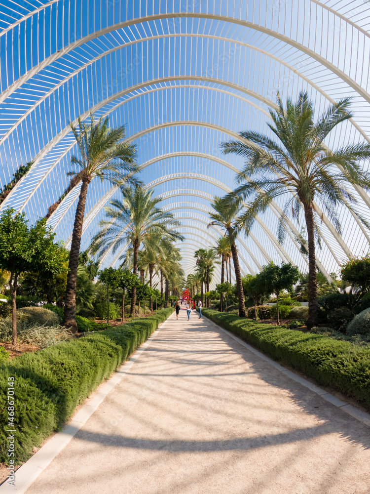 Road surrounded by large palm trees with grass and garden shrubs around and a large structure of long metallic white bars on top letting see a blue sky a sunny day