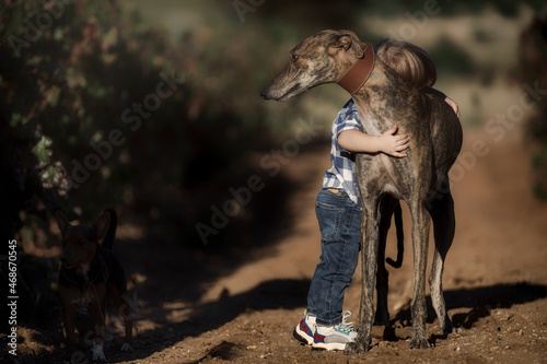 Niño rubio en el campo abrazando a su mascota, un galgo español de pura raza, mostrando mucha ternura.