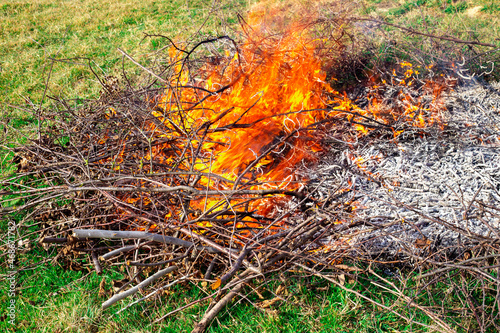 Waste incineration in summer cottages. Dry branches of trees burn with a bright flame. Danger of fire