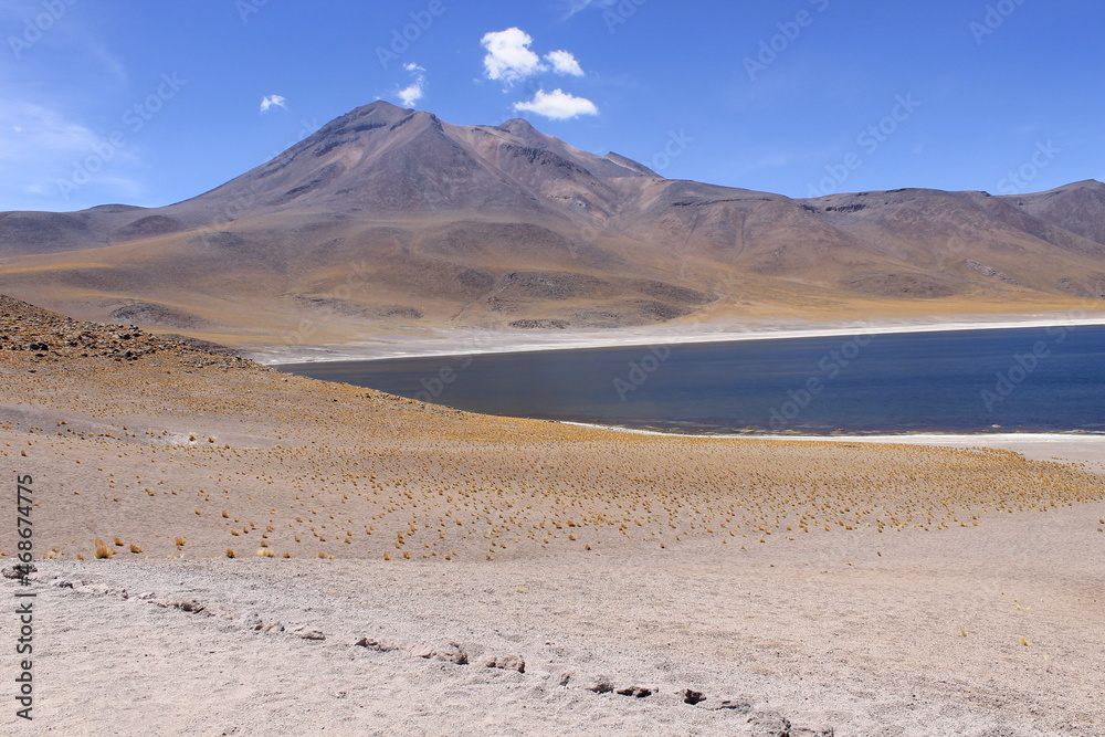 Lagunas Altiplânicas - Atacama - Chile