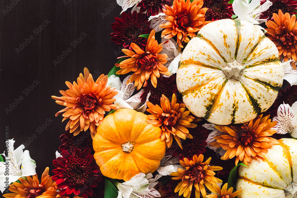 Fototapeta premium Fall Flowers and Ornamental Pumpkins on Dark Background