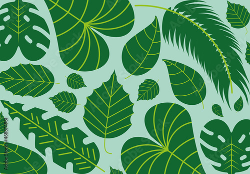 tropical green leaves