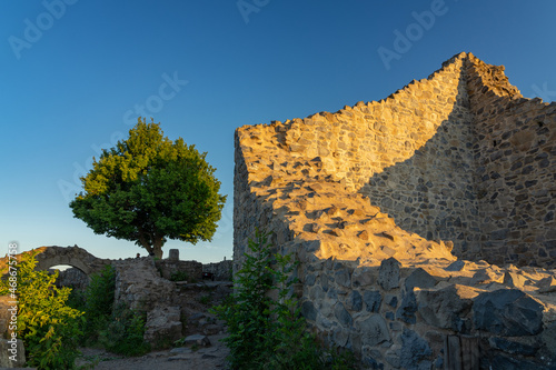 Ruine Löwenburg im Sommer photo
