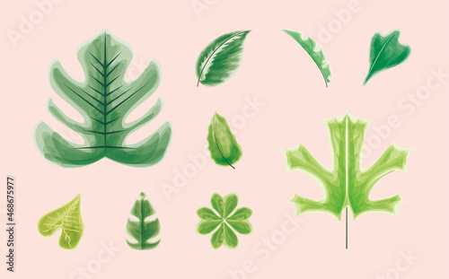 icons leaves foliage