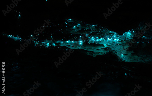 Glow worms in the Okupata cave, New Zealand photo