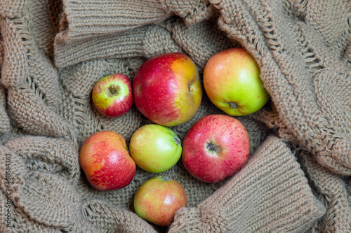 small wild forest apples on a knitted beige sweater