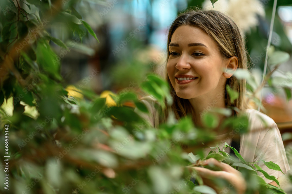 Florist taking care of a plant while using pruning shears Florist taking care of a plant while using pruning shears