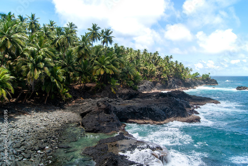 Palm Trees in volcanic coast island photo