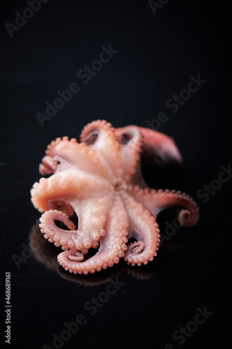 An octopus on black background
