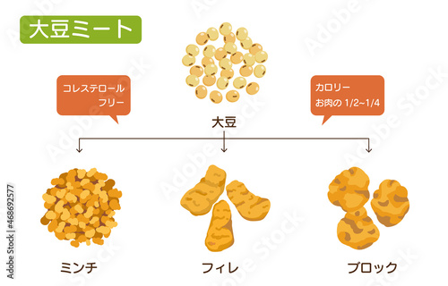 様々な形状の大豆ミートのイラスト(大豆・ミンチ・フィレ・ブロック）